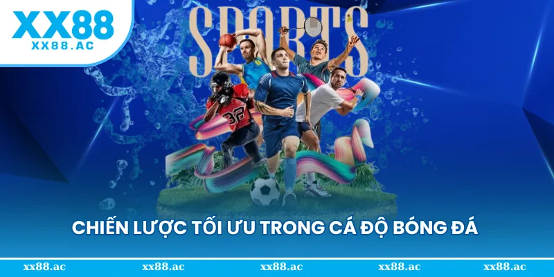 Chiến lược tối ưu phần thắng khi tham gia cá độ bóng đá 