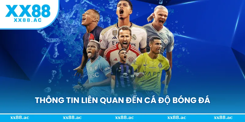 Những thông tin bổ ích liên quan đến cá độ bóng đá