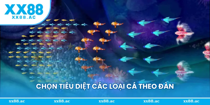 Chọn tiêu diệt các loại cá theo đàn