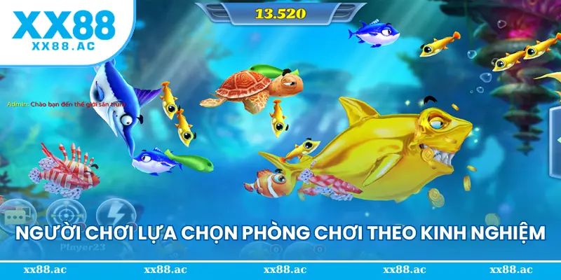 Người chơi lựa chọn phòng chơi theo kinh nghiệm